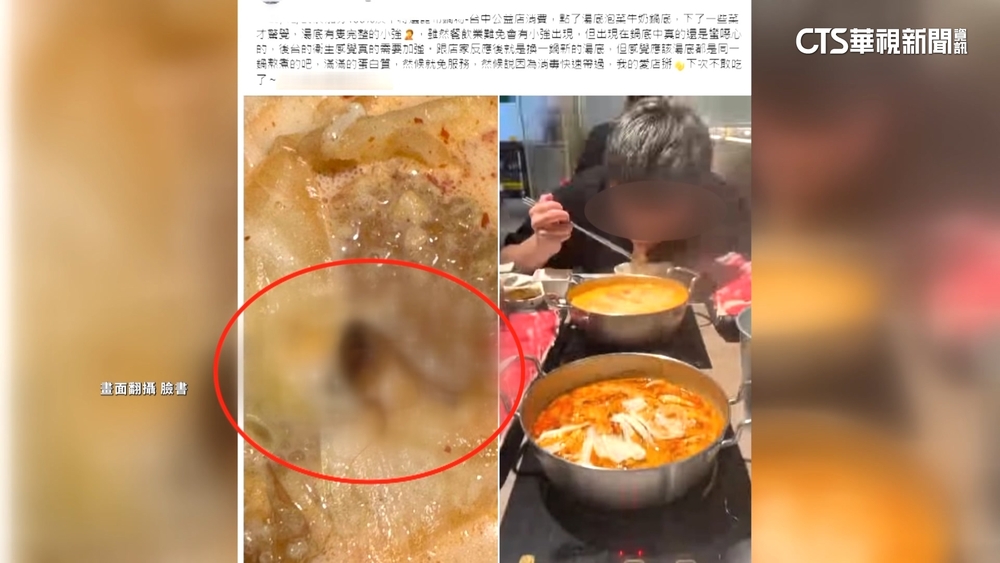 火鍋湯底附小強！　饕客怒轟噁心　業者：皆符合SOP