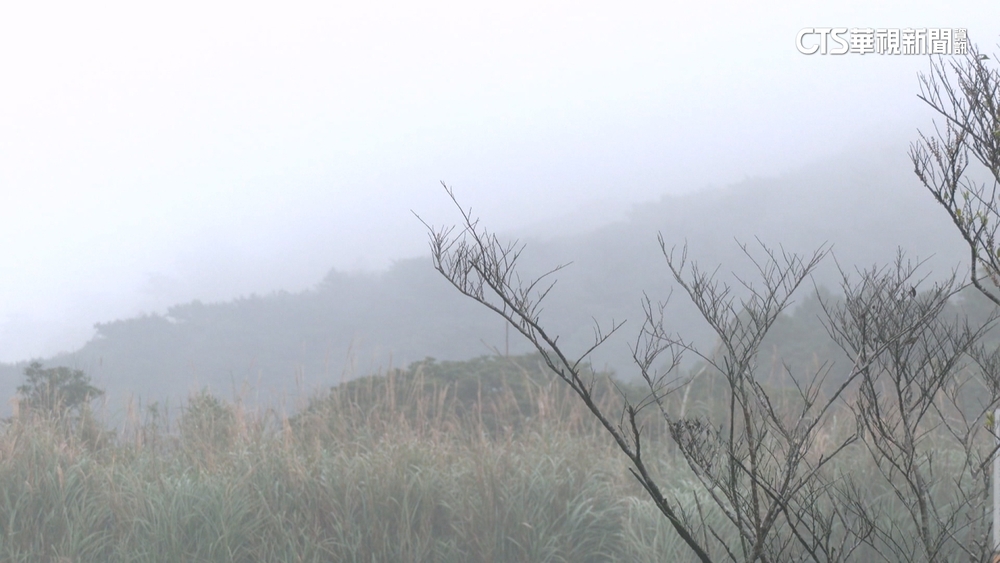 全台極凍！　雪山飄冰霰.玉山下冰珠　變身銀白世界