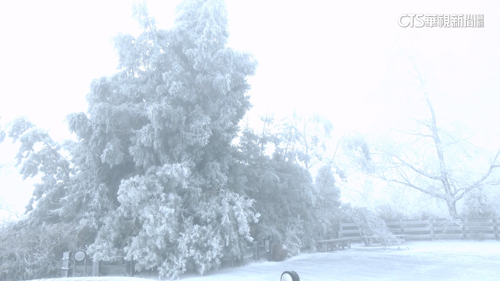 太平山冰雪世界！　熱血大學生「短袖挑戰低溫」