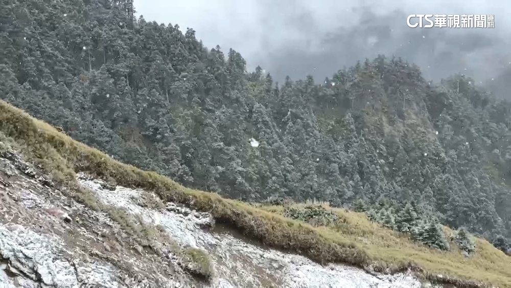 玩命！合歡山降雪全台嗨　遊客無視「警告」危爬邊坡