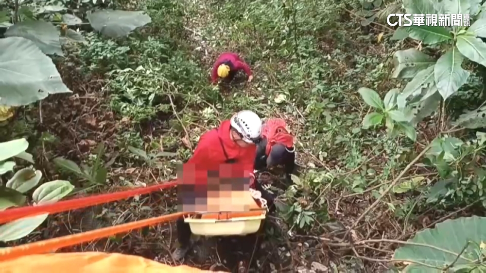 7旬翁走阿里山吊橋　掉「縫隙」摔落30米深坡