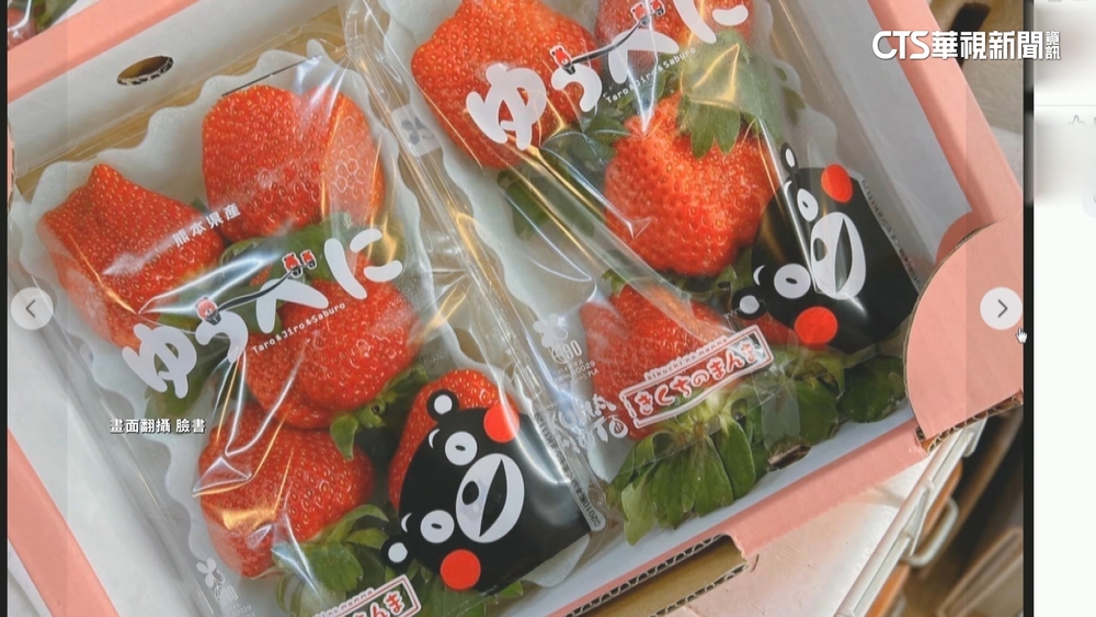 日本草莓又爆227kg農藥違規　食藥署：最嚴格查驗
