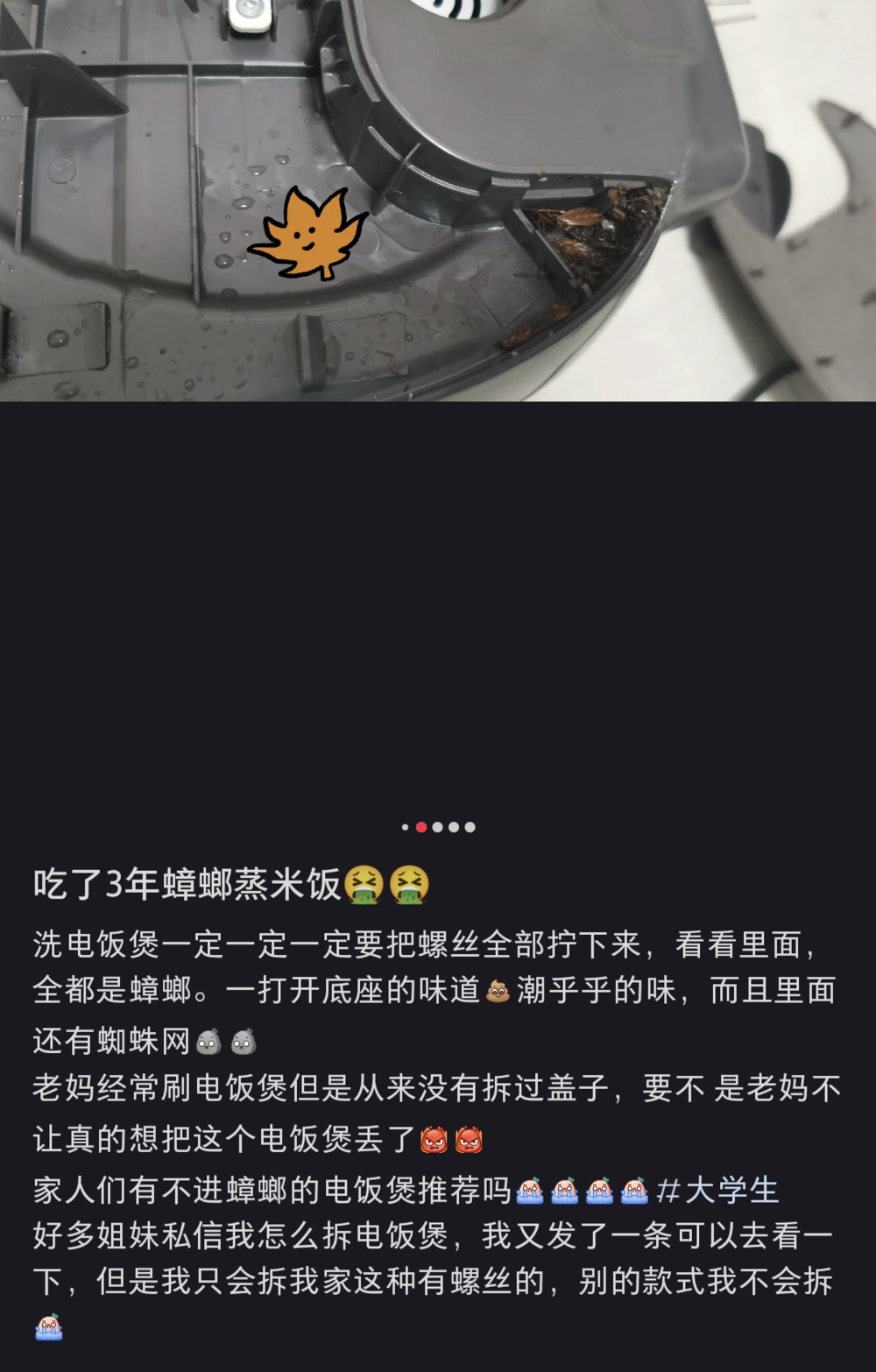 圖片翻攝自 小紅書