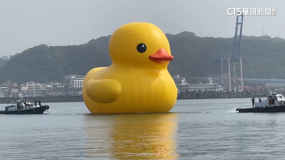 睽違10年再度回歸！　黃色小鴨重返高雄愛河灣