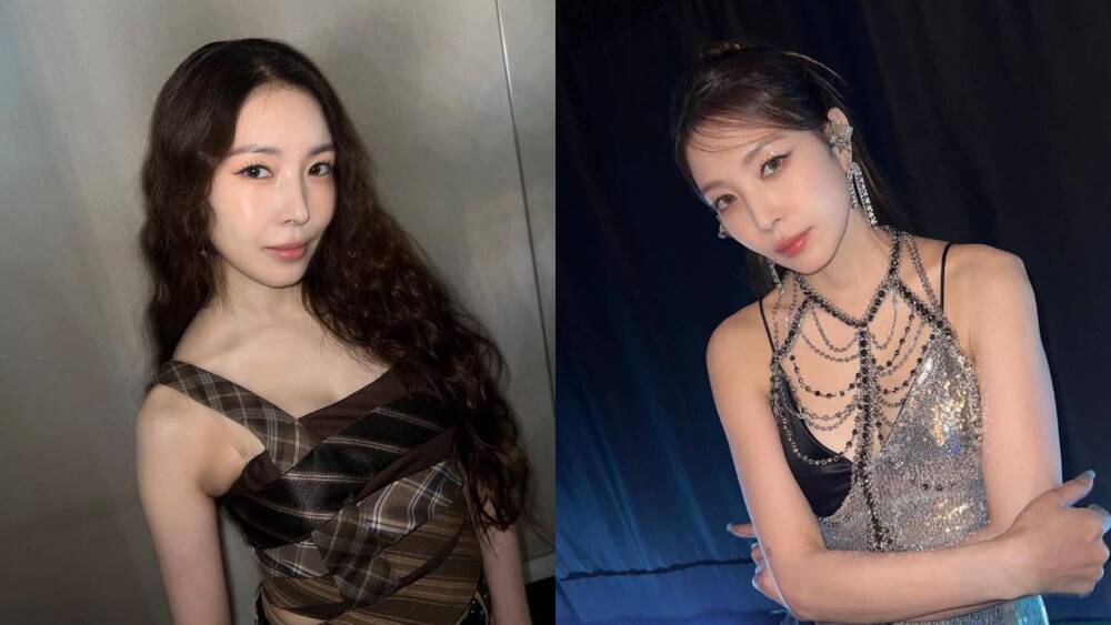 張雅涵PO一圖證實「BoA將登高雄櫻花季」！ 網暴動：韓流傳奇來了