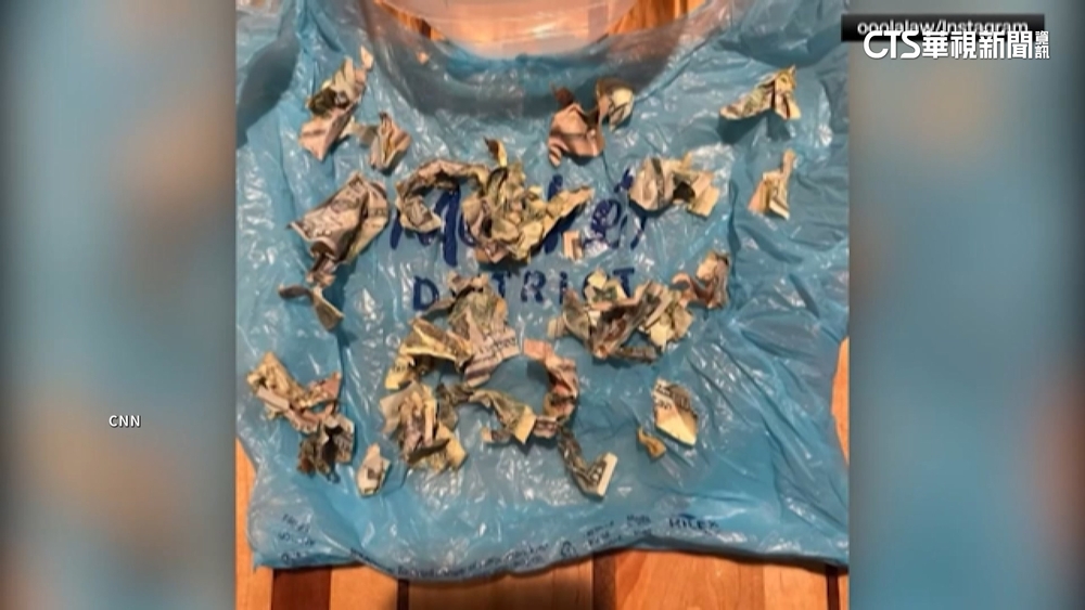 愛犬啃咬4000元美金　「紙鈔成碎紙」主人超崩潰