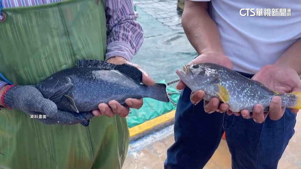 時機敏感！中國：研究中止ECFA農漁等產品關稅減讓