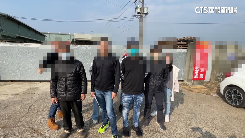 心血遭詐！　透過貿易公司賣茶拿嘸錢　茶農求償無門