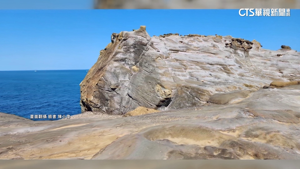 象鼻岩斷鼻變身水豚君對比照曝　網驚呼：太像了