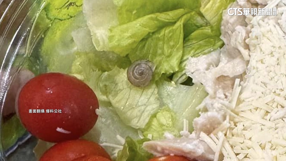 美式賣場沙拉有「活體蝸牛」　顧客驚呼：沒洗過？