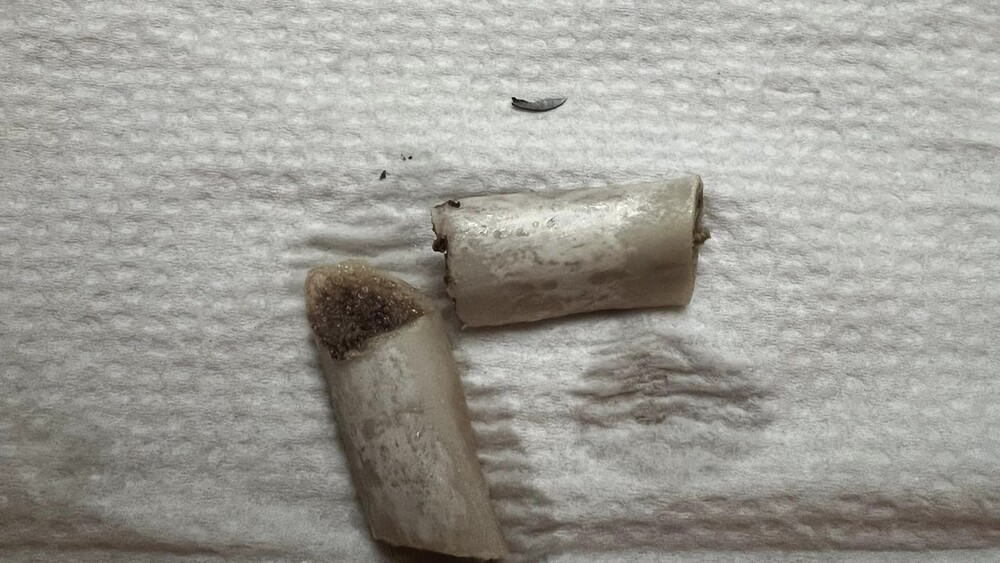 好市多「排骨刀片」成謎團？　食藥署：廠商切割刀具完整