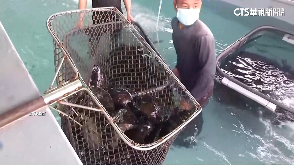 大選完石斑傳又被中國封殺？　屏縣府：目前無訊息