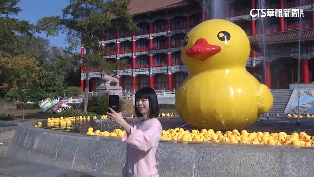 超萌！　500隻黃色小鴨「攻占」高雄圓山飯店
