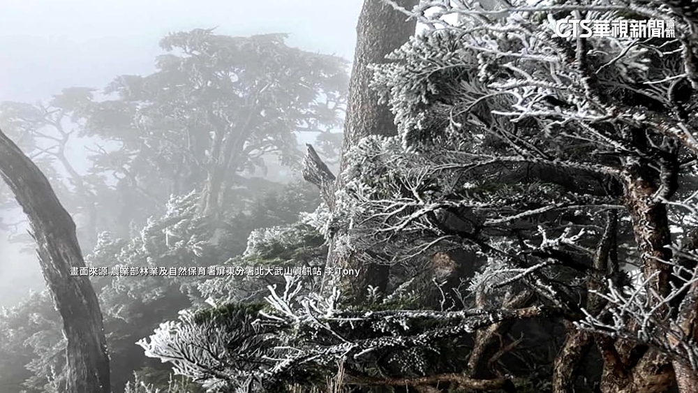 美極了！　北大武山迎霧淞　銀白世界超夢幻