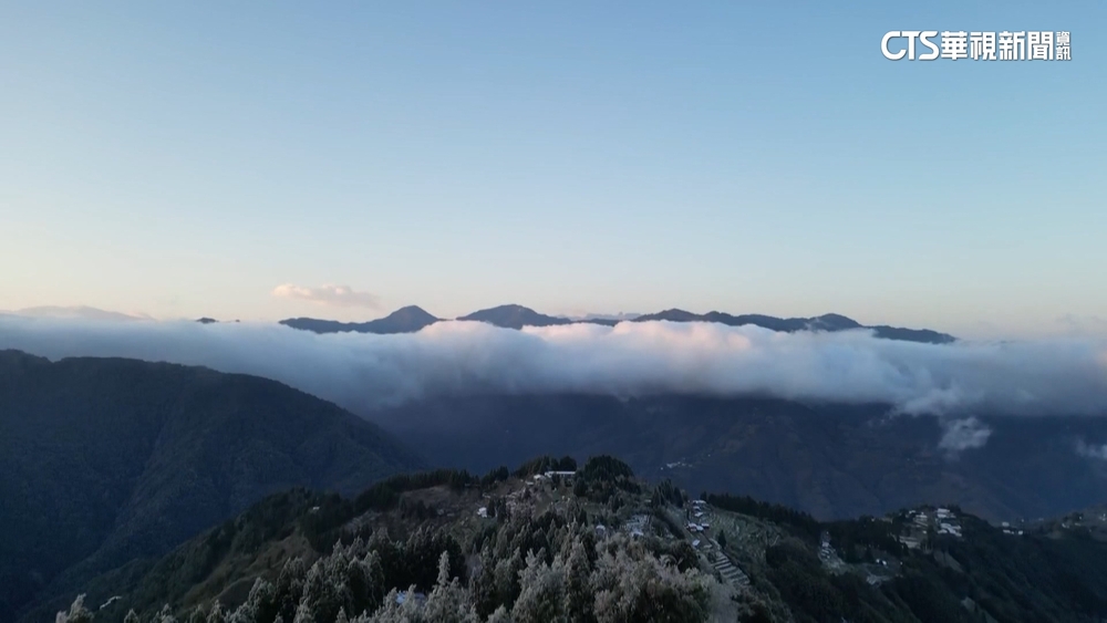 絕美冬景！霧淞冰晶.漫山霧氣繚繞　民眾讚嘆