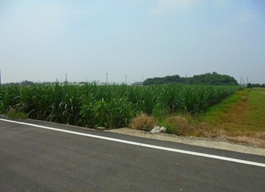 66歲翁酒駕欠繳12萬元　400坪土地慘遭法拍