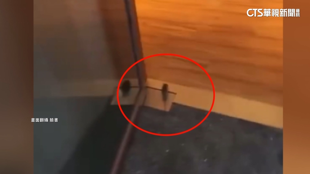 超哥餐廳剛被檢舉完又驚見「老鼠」　衛生局：再複查