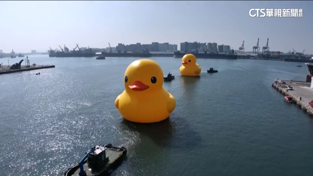 萌度破表！　「黃色小鴨」重返高雄成雙　帶動觀光商機