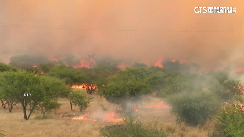 極端高溫籠罩智利　中部地區森林大火釀上百死