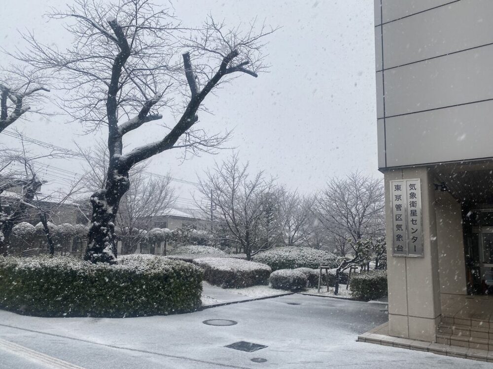 日本關東大雪　日媒曝「這樣走」不跌倒