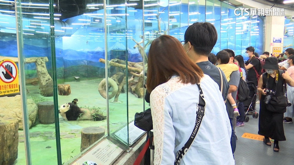 27年來第一次！　台北動物園4月起調漲門票