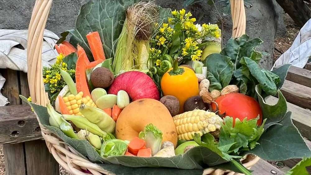 澎湃極致的黑猩猩年菜籃。圖／壽山動物園