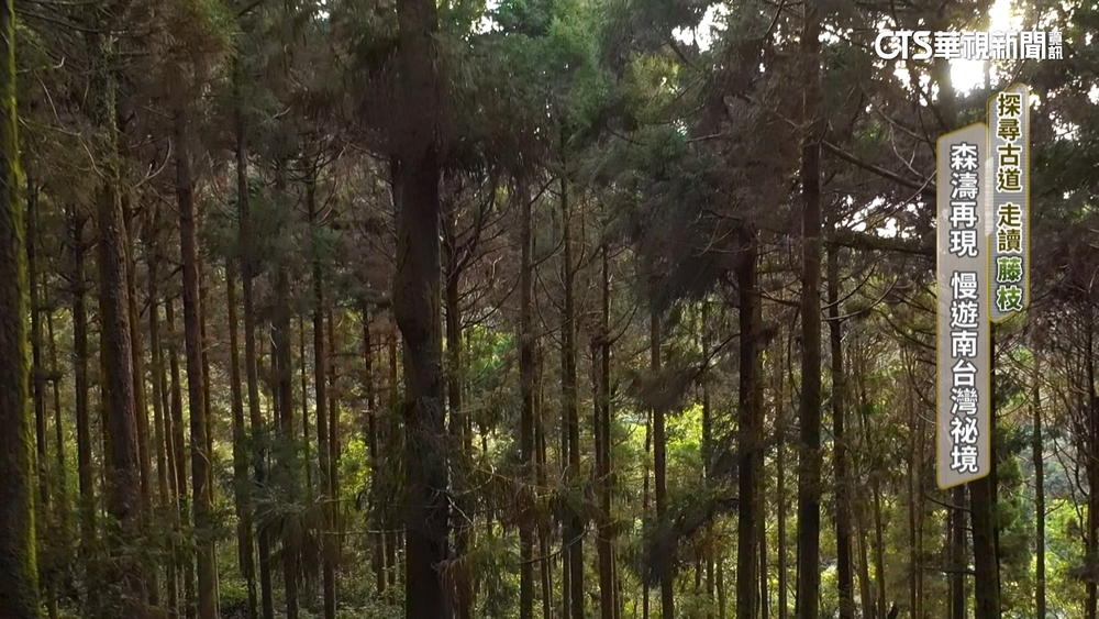 走讀藤枝！森濤再現　「慢遊」南台灣祕境