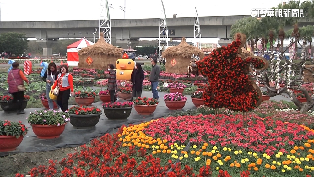 「花在彰化」！走春賞花夯　溪州公園初一湧人潮