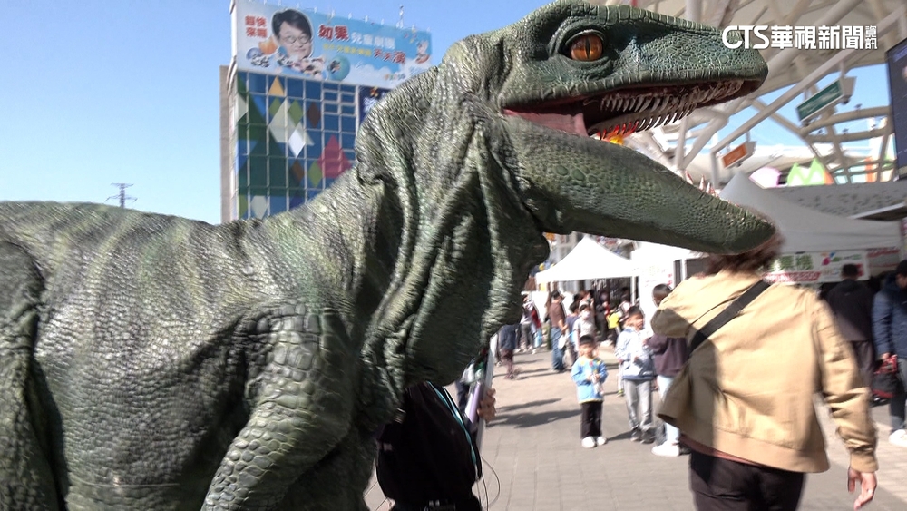 大年初三走春賞花　士林官邸一大早湧現人潮