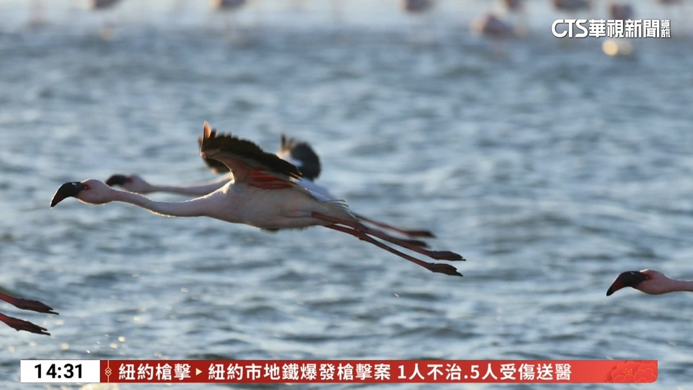 翻轉世界的盡頭　探索野性大地.與環境共好
