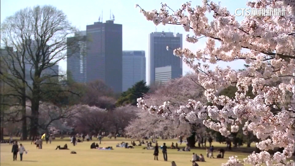 赴日賞櫻注意！　日本氣象株式會社預估櫻花季提前