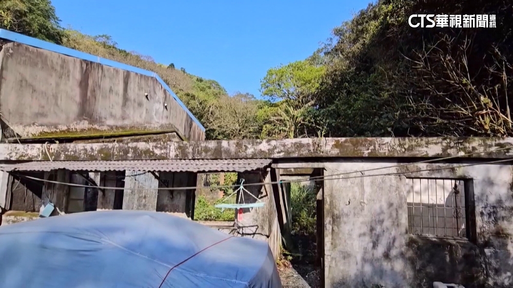 剩一面牆+雜草　基隆和平島32坪權利屋賣80萬