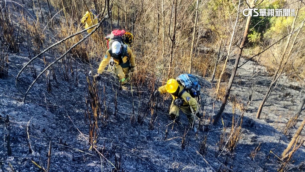 梨山深夜森林大火燒15小時　11公頃山頭燒光