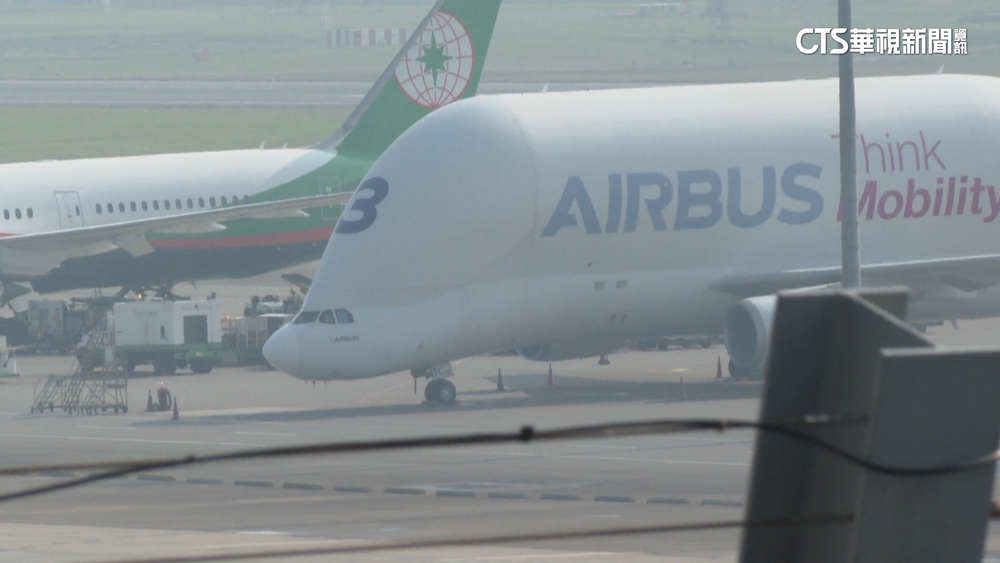 全球僅5架！空巴「大白鯨」現身桃機　航空迷搶拍
