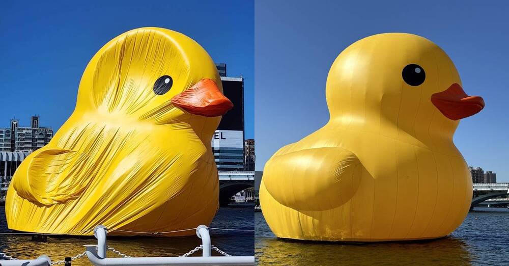 「鴨」力山大！黃色小鴨突消風「長皺紋」 觀光局：檢修中