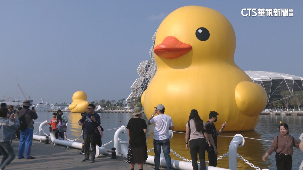 黃色小鴨吸逾800萬人次觀賞　展期最終日爆人潮