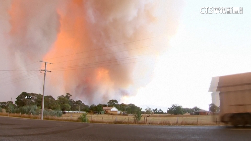 聖嬰現象籠罩澳洲　森林大火蔓延袋鼠奔逃