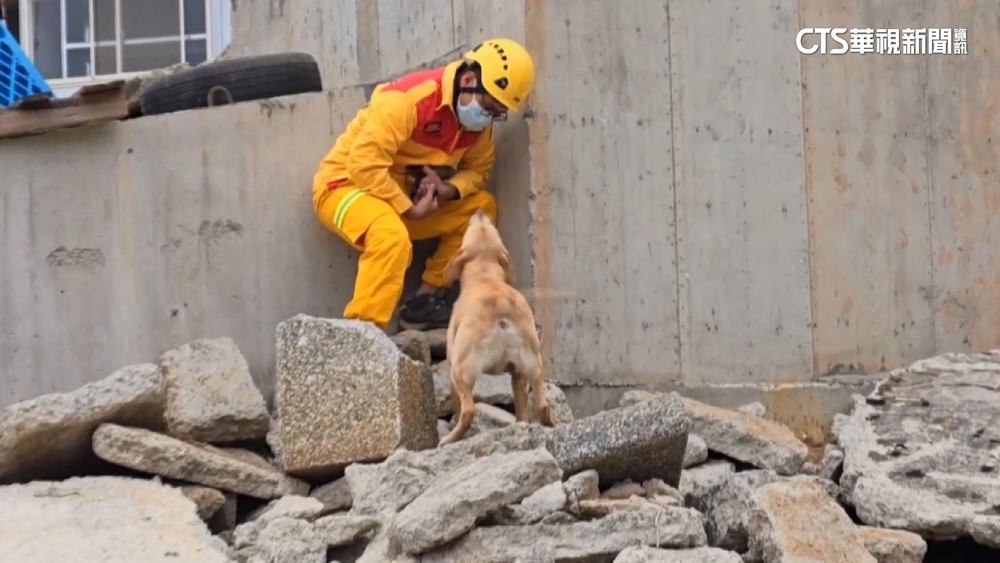 「北台首座」新竹市搜救犬基地　啟用2個月狗吠聲惹怨