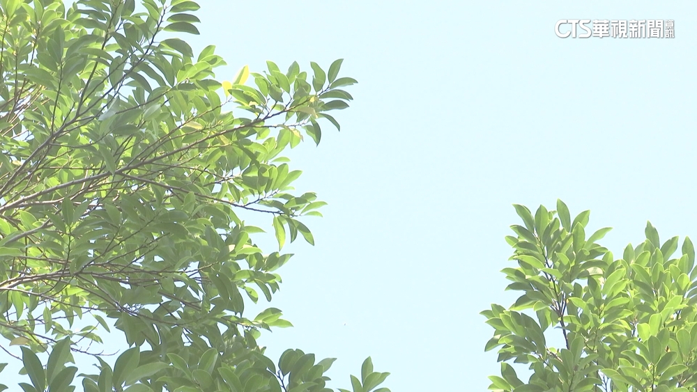 把握回暖好天氣！　南部上看30度.估明晚變天北轉雨