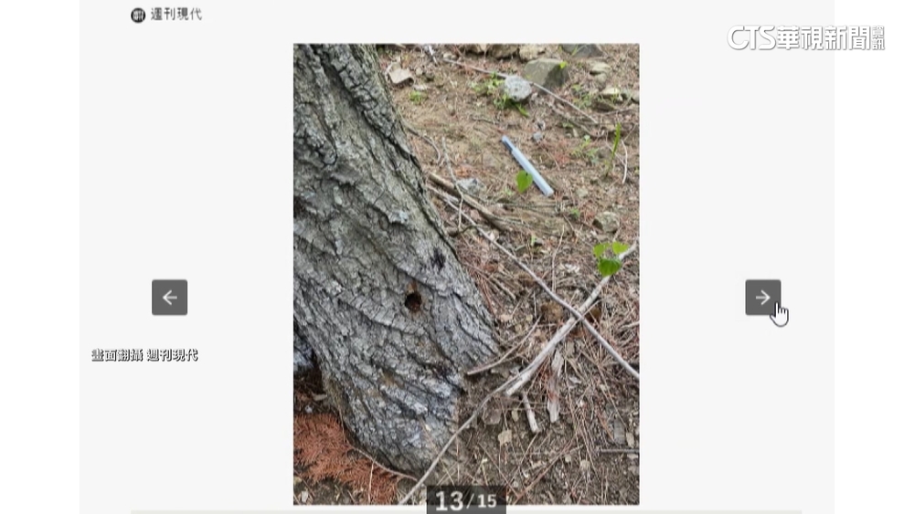 嫌「富士山被擋」　日本中資飯店傳擅砍鄰居樹木