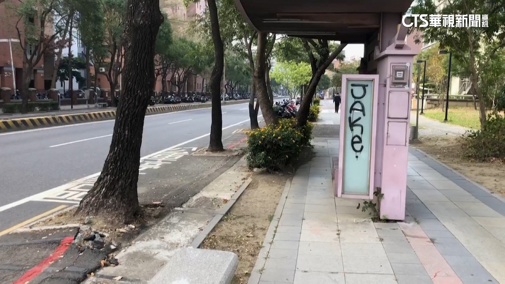 公車停靠區設兩路樹中間...　南市交通局：研議改善