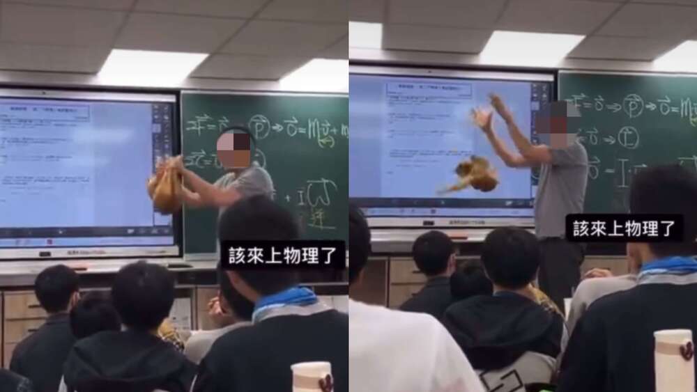 把貓當教材「從高處落地」網友氣炸！　補教師急道歉：用最好的罐頭補償