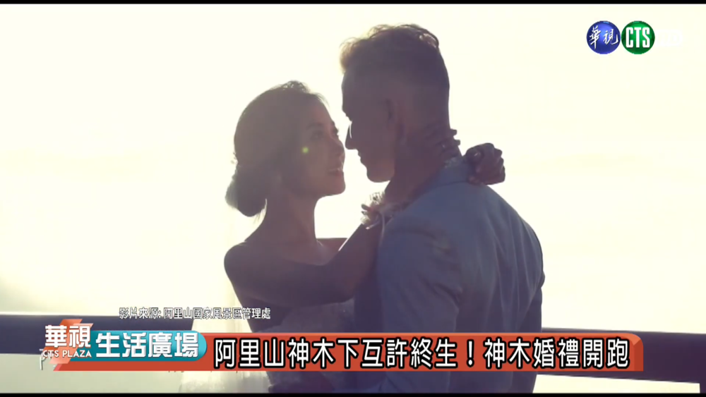 浪漫阿里山打造幸福婚禮 神木下婚禮系列活動開跑