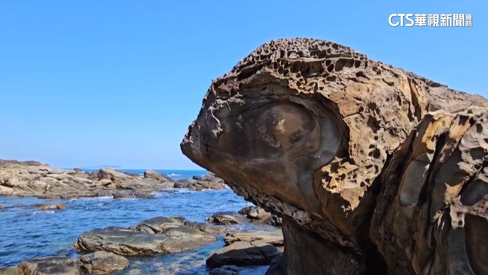 渾圓大眼搭坑洞斑紋...　外木山「海龜石」暴紅