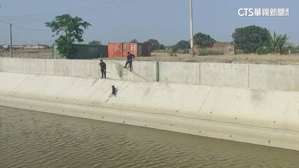 民眾「熱心」通報　家畜所人員吊蚵籃下水救狗