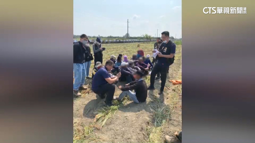 失聯移工「農忙跑單幫」　南市專勤獲報逮23人