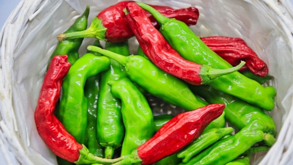 青色辣椒「辣不辣」成不解之謎？　農糧署1招秒分辨