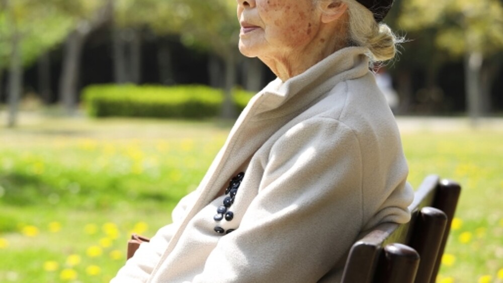 牛樟芝將漲價？台北婦欲匯60萬投資 警方「功德無量」阻詐