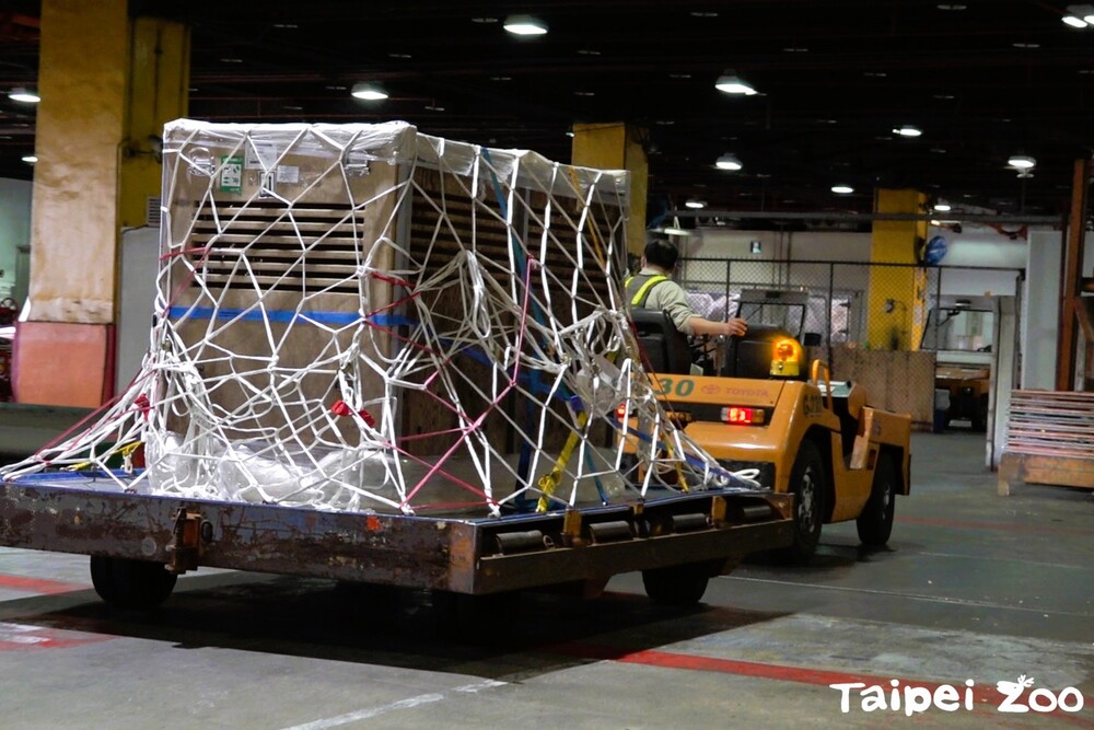 (圖/台北市立動物園提供)