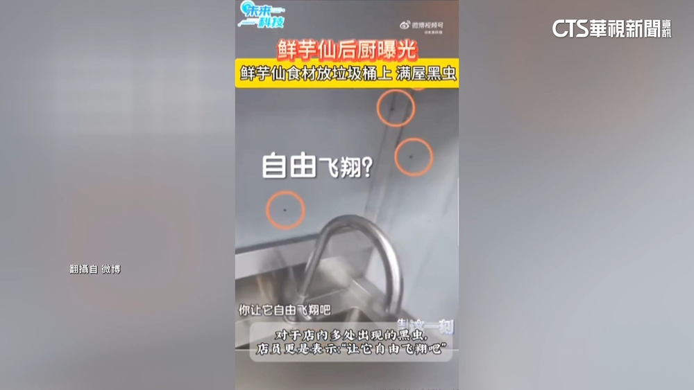 蟲亂飛.食材亂放　「鮮芋仙」北京2門市遭爆髒亂